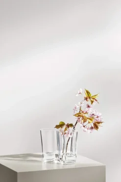 Clearance Alvar Aalto Vase Vaser