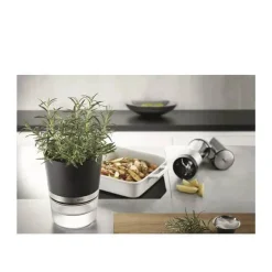 Botanico Krydderurtepotte Urtepotteskjulere