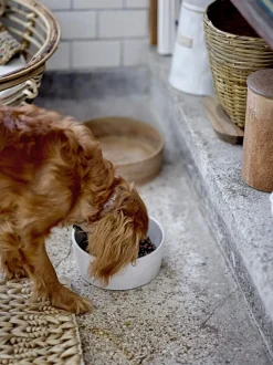 Sale Buddy Pet Krukke Tilbehør Til Kæledyr