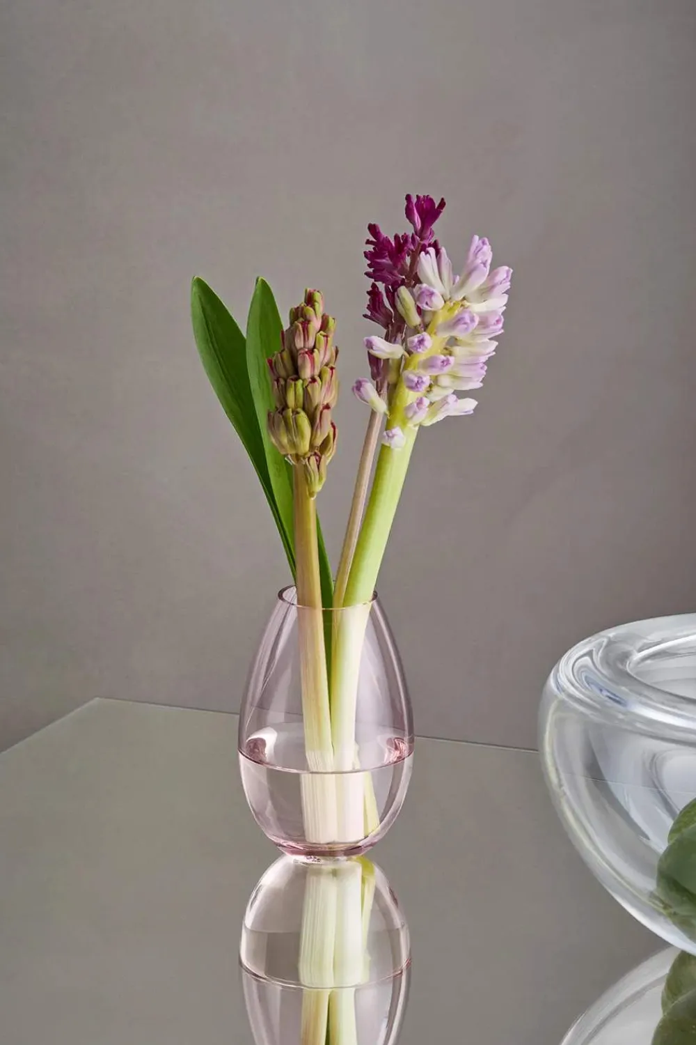Online Cocoon Vase Vaser