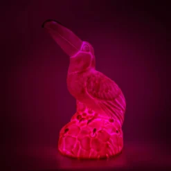 Eden Toucan Lampe Led-Lamper
