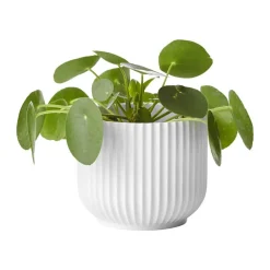 Outlet Flowerpot Urtepotteskjuler Urtepotteskjulere