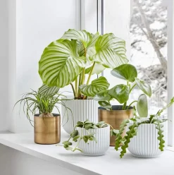 Outlet Flowerpot Urtepotteskjuler Urtepotteskjulere