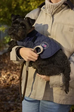Best Hundejakke - M Tilbehør Til Kæledyr