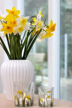 Sale Kunstig Blomst - Pinselilje Kunstige Blomster