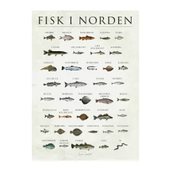 Hot plakat - Fisk i Norden Plakater Og Vægdekoration