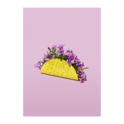 New plakat - Flower taco Plakater Og Vægdekoration