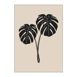 Best Plakat - Monstera Deliciosa Plakater Og Vægdekoration