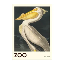 Hot Plakat - White pelican Plakater Og Vægdekoration