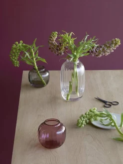 Outlet Primula Vase Vaser