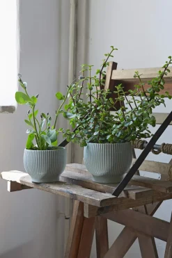 Sale Riller Urtepotteskjuler Urtepotteskjulere