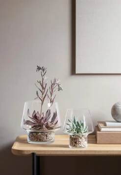 Sale Sukkulent Vase Vaser