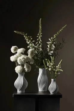Online Twist Vase Vaser